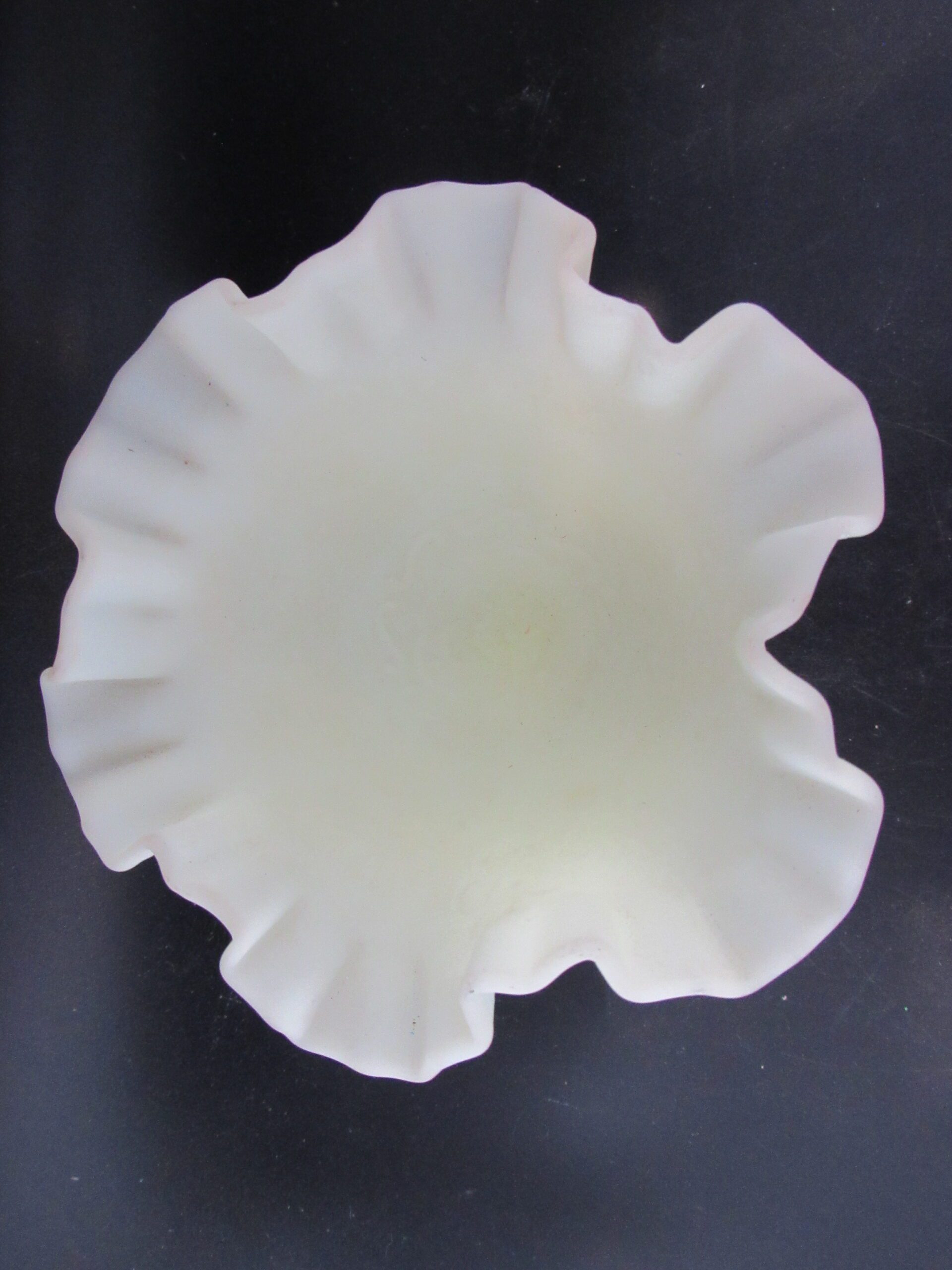 Decoding Custard Labels: Spotting Hidden Lactose - b01mrhn
